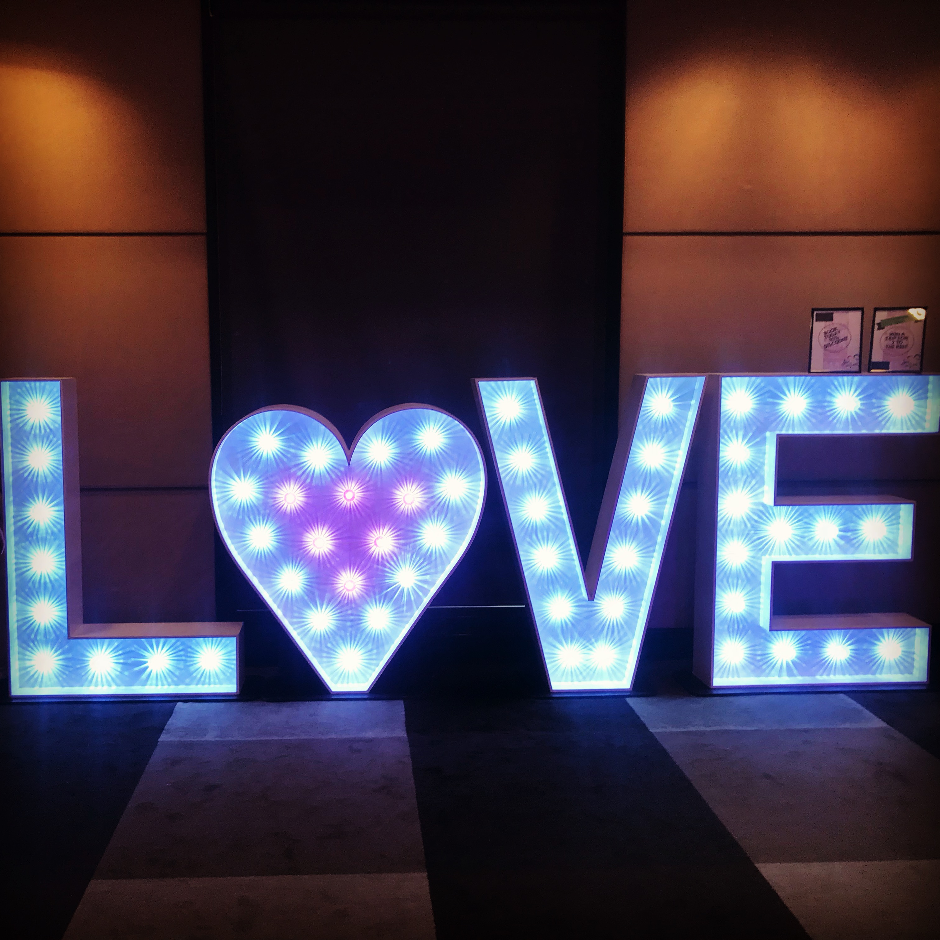 Giant Illuminated Letters Event Letters Light Up Letters Letter